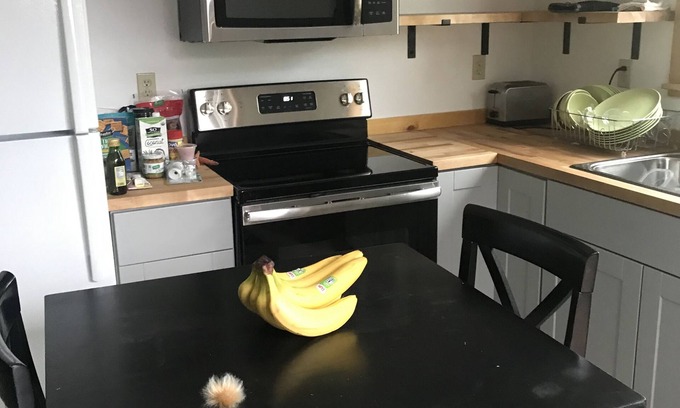 Unalaska House | Unalaska Alaska 1 bedroom
