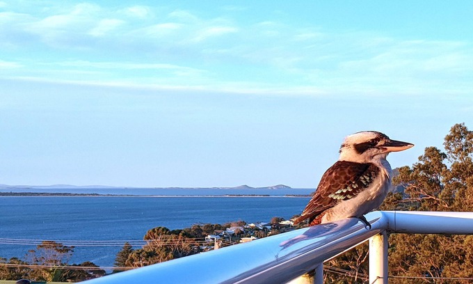 Nelson Bay House | Unbeatable Views of Port Stephens - Pacific Waters