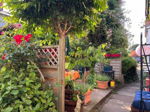 Cricklewood House | UNIQUE beautiful peaceful conservation area - 20m to town