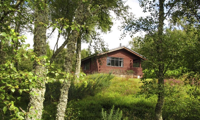 Golspie Cabin | Unique, Solo Log Cabin In Private Woodland With Views To Sea And Local Hills