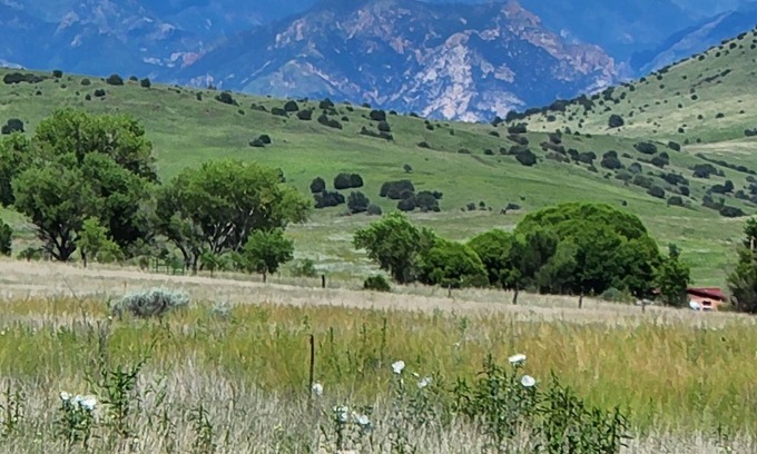 Mule Creek House | Up Country Ranch House down a quiet lane