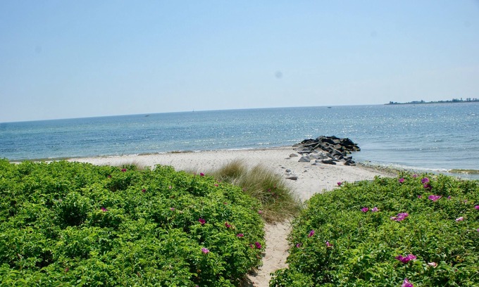Fehmarnsund Apartment | Vacation apartment/apartment for 3 guests with 40m² in Fehmarn OT Fehmarnsund (126503)