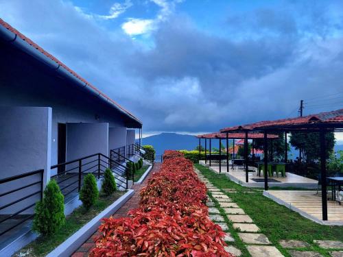 Satara Hotel | Vayu Resort - Kas Pathar