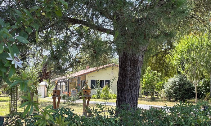 Eugenie-les-Bains House | Very pleasant and functional single-storey house 80m² in a green setting.