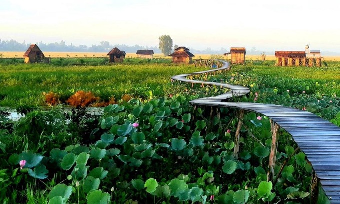 Tam Nong Other | Việt Mekong Farmstay