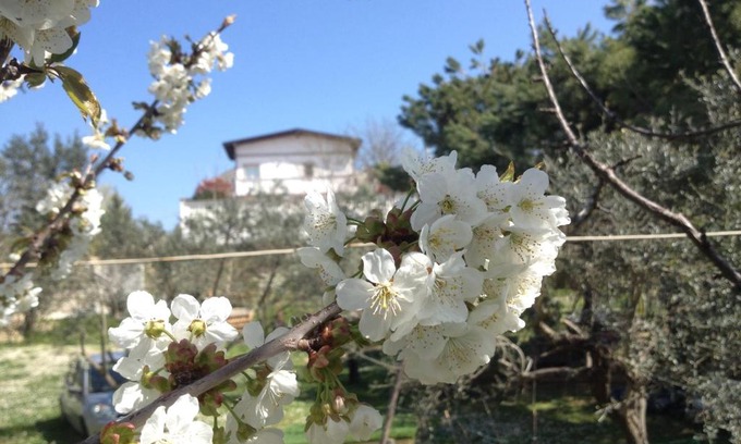 Chieti Bed & Breakfast | Via col Vento