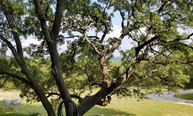 Wimberley Cabin | Views, Views, Views-A Treehouse Retreat