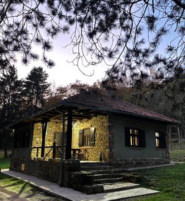 Petrovaradin Villa | Vila Fruškogorski Mir