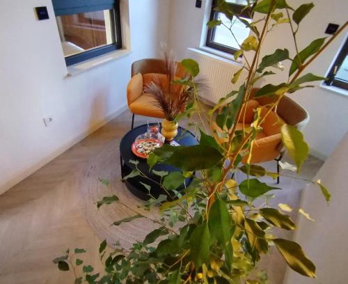 Sremski Karlovci Apartment | Vila Karlovčanka smeštaj u centru Sremskih Karlovaca