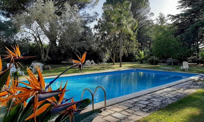 Modica House | Villa de Leva - Casa Verde