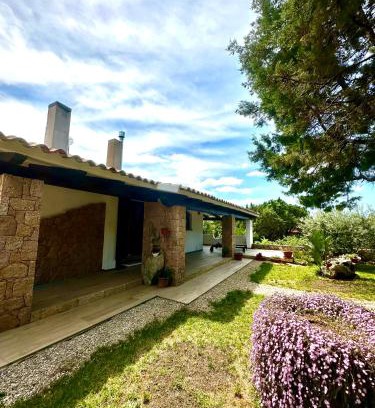 Rena Majore Bed & Breakfast | Villa Mameli b&b