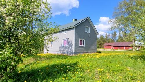 Rautjarvi House | Villa Mummola Neljän makuuhuoneen asunto lähellä jokea