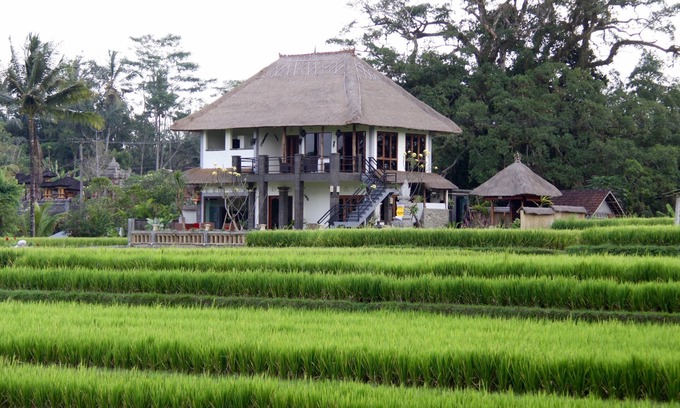 Sambahan Villa | Villa near Ubud, panoramic view of rice fields and the volcano