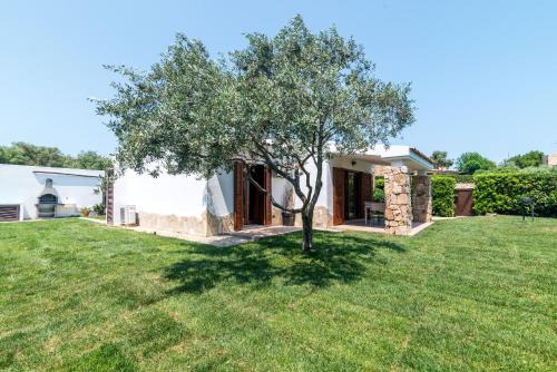 Porto San Paolo House | Villa Teresa