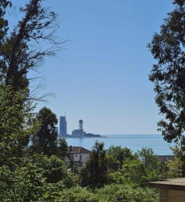 Khelvachauri Villa | Villa TG