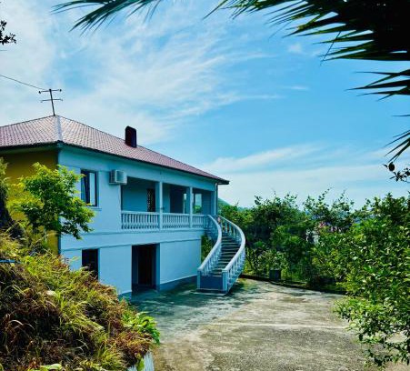 Khelvachauri Villa | Villa Tinatin