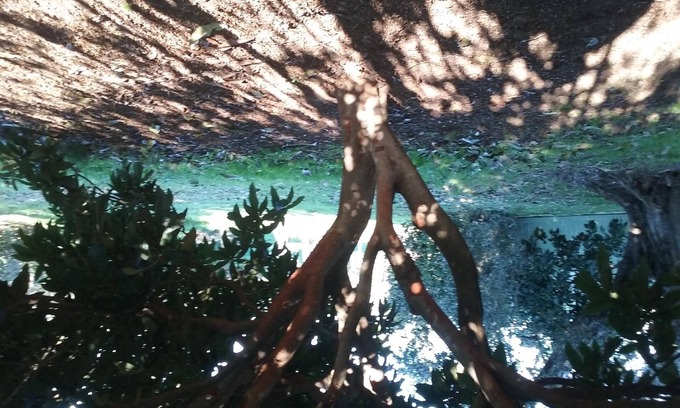 Donoratico Villa | Villa with large garden 2 km. from the sea