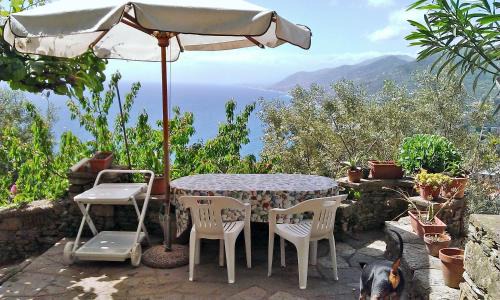 Camogli House | Villetta sul Mare