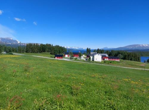 Hattfjelldal Other | Villmarksgård camping