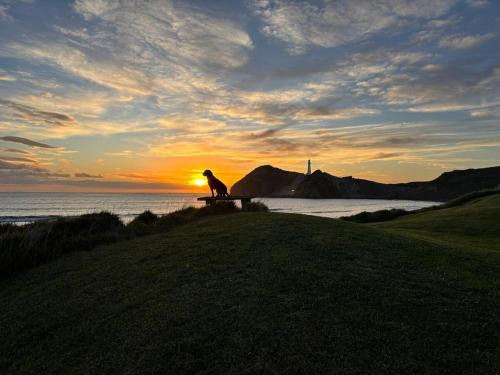 Castlepoint House | Waiwhare on the Beach - Beach Front Property