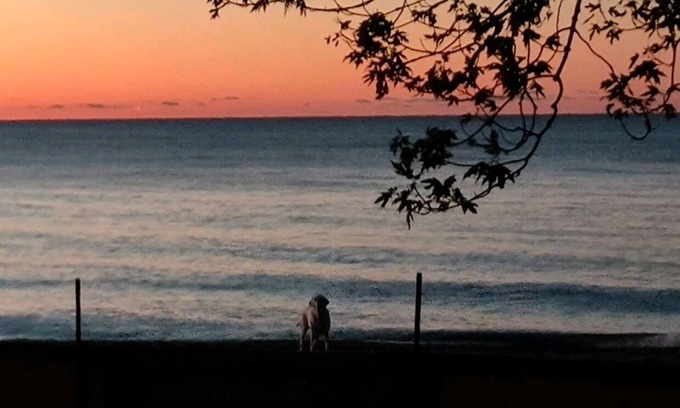 Kingsville House | Walk out your door and you are on the beach ⛱️