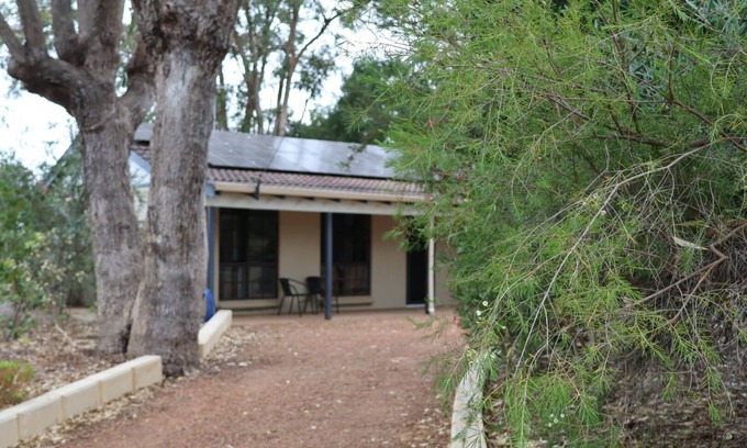 Falcon House | Walk to beach then relax under the gumtrees.