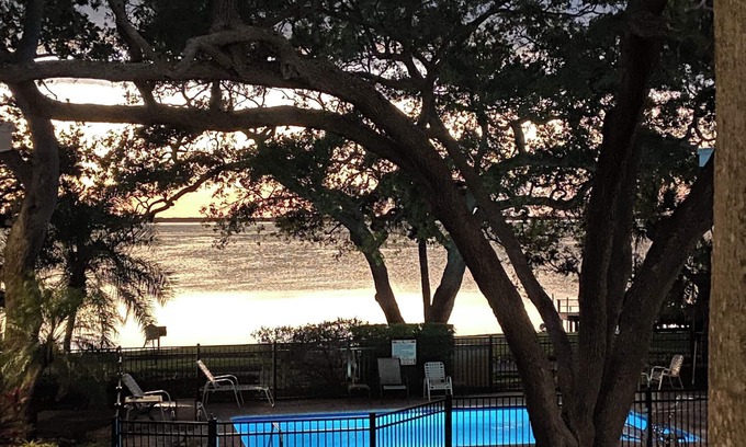 Dunedin Condo | Waterfront in Dunedin. Easy walk to downtown. Serene. Peaceful. Water view.