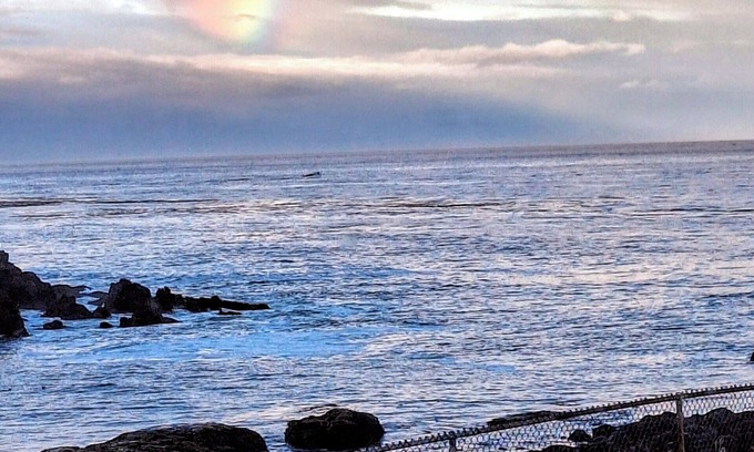 Depoe Bay Resort | Whales Pointe Resort on the Oregon coast. 3-bedroom oceanfront corner unit