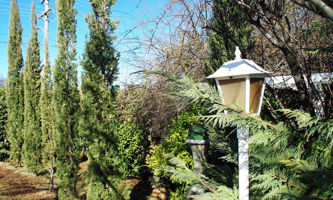 Armidale Hotel | White Lanterns Motel