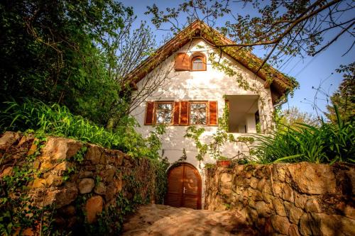 Badacsonytomaj House | Wild Grape - Vadszőlő