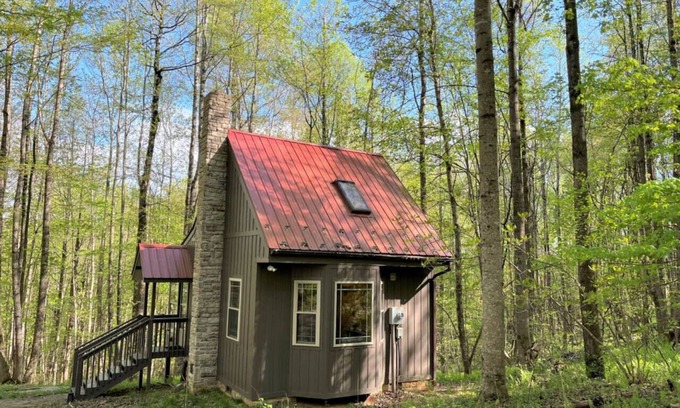 Meadows Of Dan Cabin | Wildcat Forest - a tiny cabin with lots of charm, by Buffalo Mountain Getaway