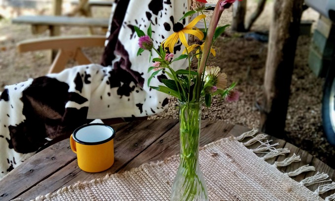 Cosby House | Wildcat Knob RV in the Smoky Mountains