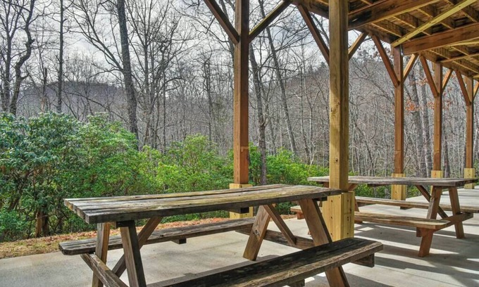 Black Mountain House | Wildcat Lodge: 5BR/5.5Bath All Ensuite Mt. Log