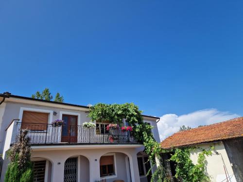 Capannori Bed & Breakfast | Wine House