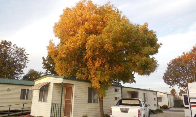 Albury Resort | Wodonga Caravan & Cabin Park