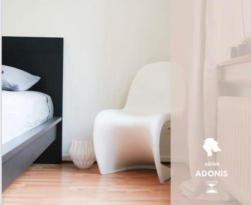 Alt-Wiedikon Apartment | Wohnen in Wiedikon Adonis