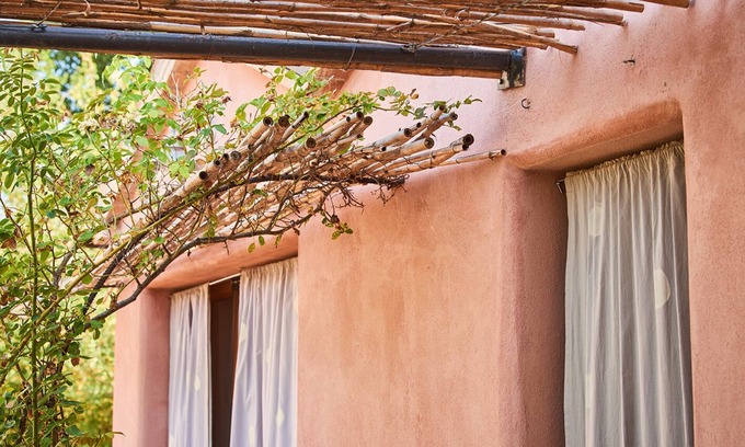 Barchi Apartment | Wonderful flat in the garden - ecologically between vineyard and olive grove