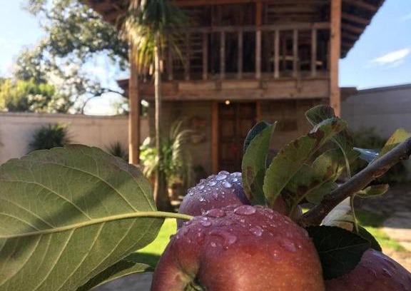 Zacatlan House | Xamikal