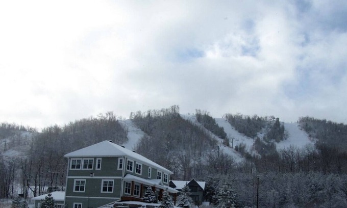 Craigleith Ski Chalet | XMAS + New years in Blue Mountain. Pet Friendly!