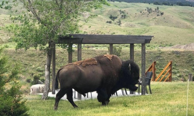 Gardiner House | Yellowstone Riverside 3 Bedrooms 2.5 Bathroom Home with Panoramic Park Views