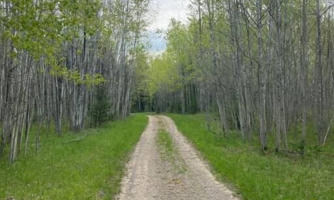 Herron House | Your own private deep woods experience