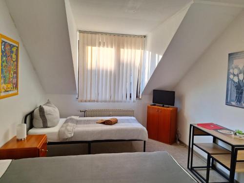 Dahl House | Zimmer E
