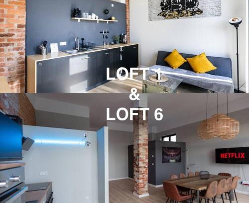 Abtnaundorf Apartment | Zwei Lofts in Kulturdenkmal nähe Zentrum (VI+I)