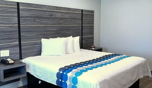 Basic Single Room