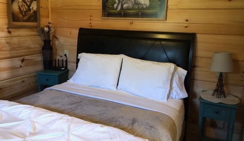Cabin 9, 1 Bedroom, Queen