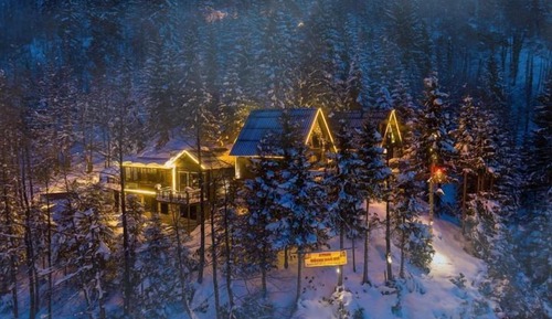 Luxury Tree House