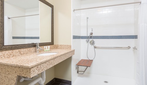 Studio Suite, 1 Queen Bed, Accessible, Kitchen (Mobility, Roll-In Shower)