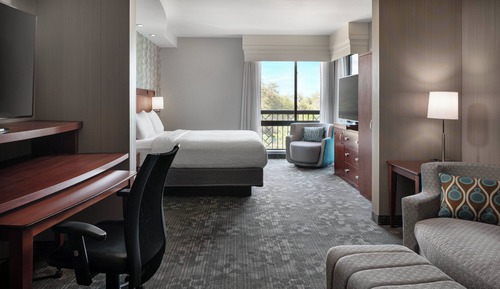Junior Suite, 1 King Bed with Sofa bed, Non Smoking