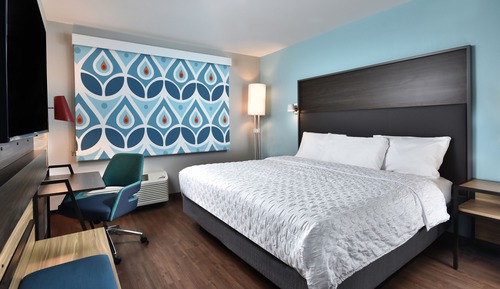 Room, 1 King Bed