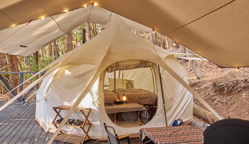 Premium Bell Tent1 3 Beds, Non smoking (Pet friendly)